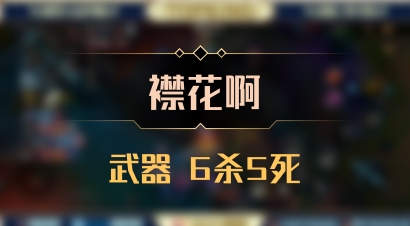 【襟花啊】武器 6杀5死