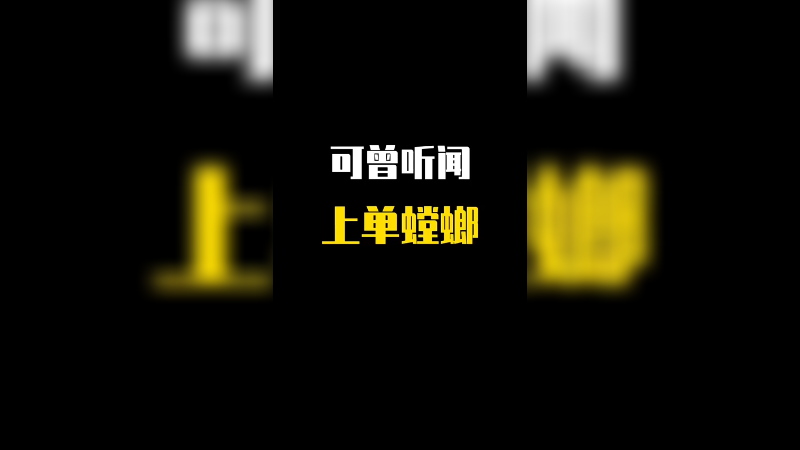 视频较长，建议点赞收藏，蹲坐的时候看