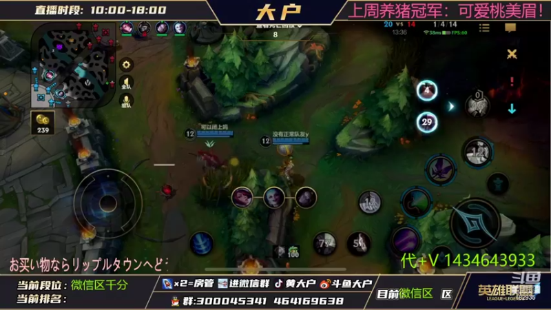 【2022-07-22 14点场】大户呀：国1猫 国1露露 我来辣！杀