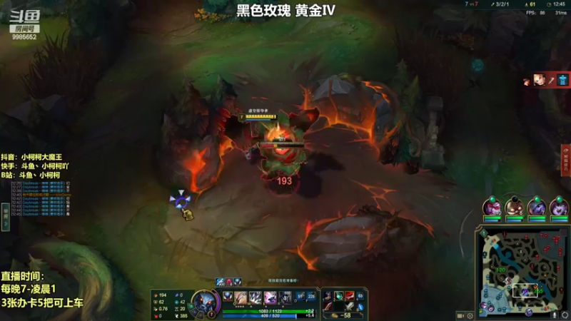 【2022-07-23 21点场】小柯柯大魔王：小柯柯：玩螳螂必备知识！