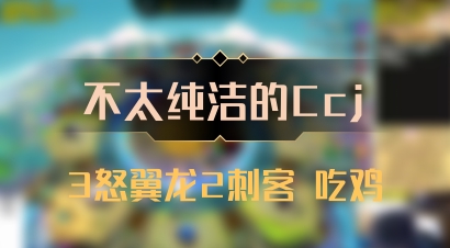 【不太纯洁的Ccj】3怒翼龙2刺客 吃鸡