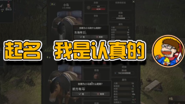 给马起名，我有一套的