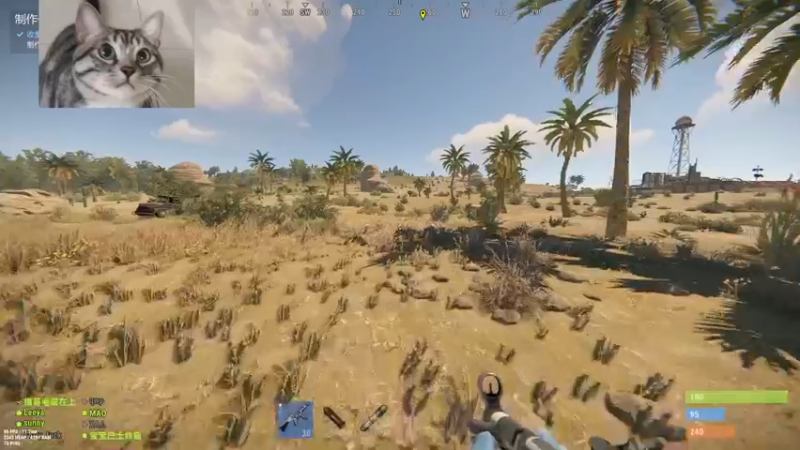 【2022-07-25 00点场】SAYA丶J：萌新海岸绝凶の厕所仙人