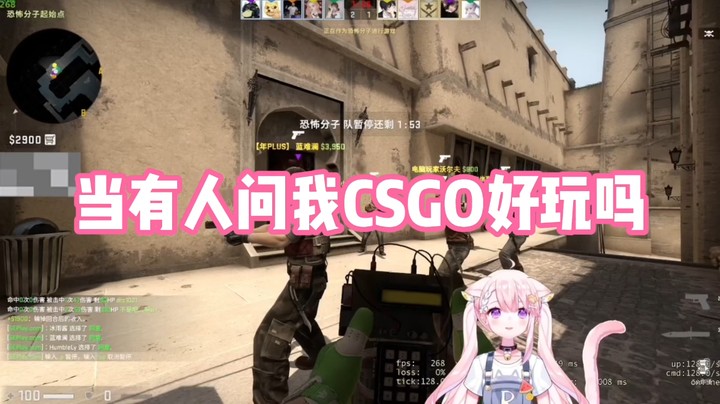 【肉肉】当有人问我CSGO好玩吗？