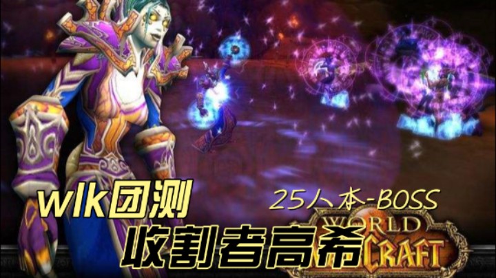 WLK测试服-25人本NAXX收割者高希DKT视角