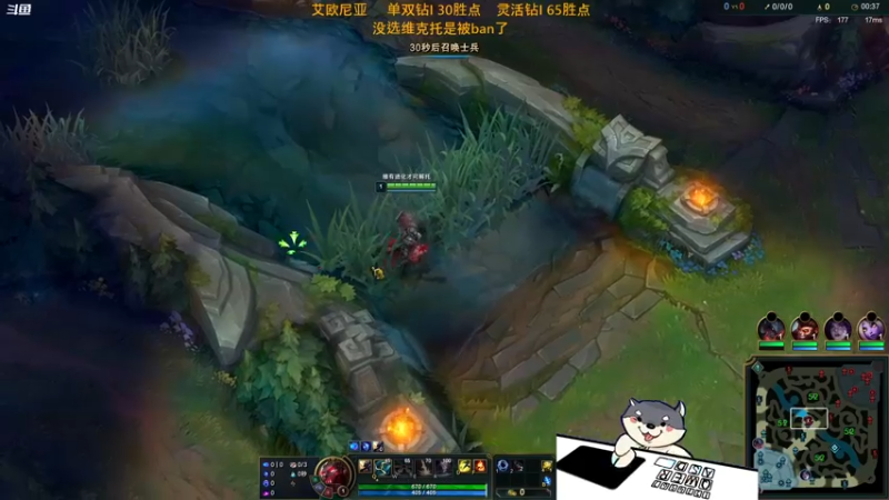 【2022-07-25 17点场】狗王维克托：狗王：维克托绝症哥