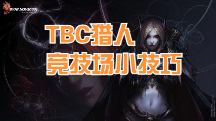 TBC猎人竞技场小技巧 #魔兽世界 #魔兽世界怀旧服 #魔兽世界pvp