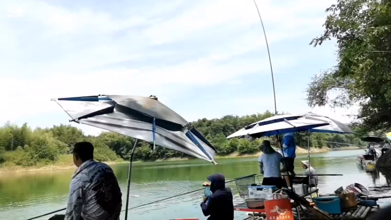 【2022-07-26 13点场】中华户外钓鱼：带大家陆水湖玩钓