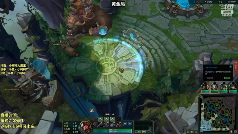【2022-07-26 15点场】小柯柯大魔王：小柯柯：玩螳螂必备知识！