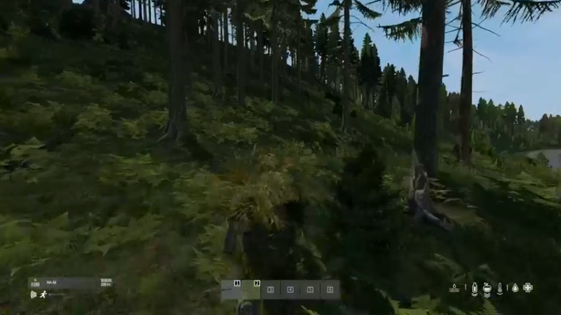 【2022-07-26 18点场】dayz韩爱东西：打开这个游戏，你将忘却世间所有的烦恼