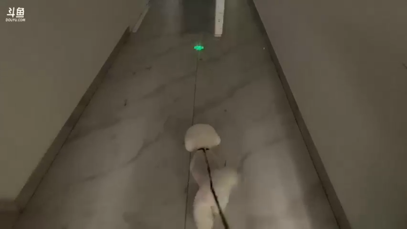 【2022-07-26 23点场】别问问就黑皮：【小奶团】黑皮