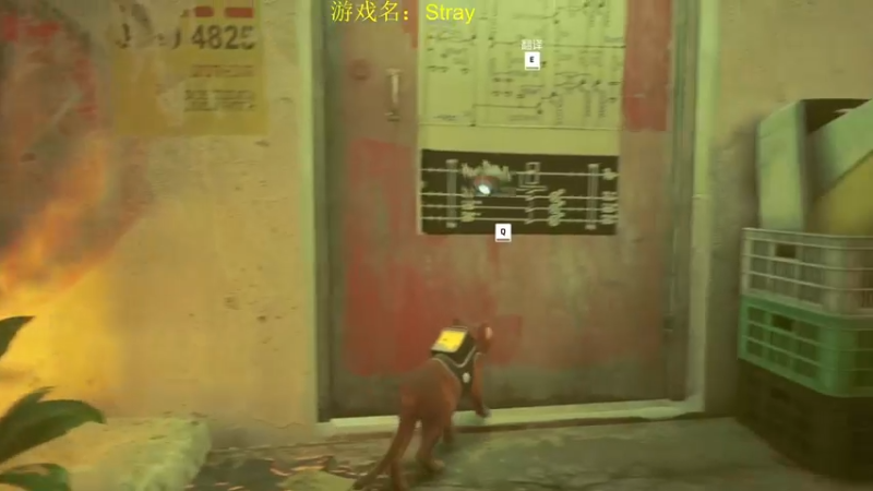 【2022-07-26 15点场】星星弟弟ovo：继续猫猫模拟器