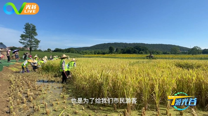 20220727T游光谷