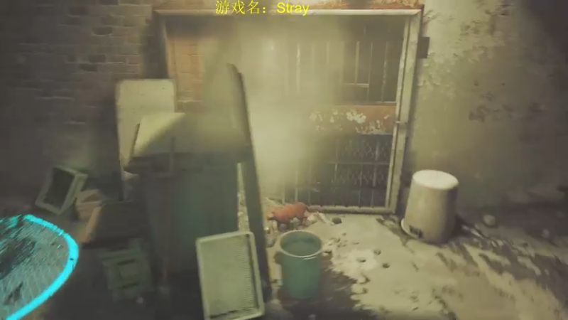 【2022-07-26 17点场】星星弟弟ovo：继续猫猫模拟器