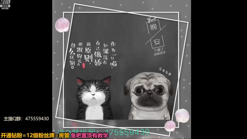 【2022-07-28 18点场】小马锅马杰：魔力宝贝旅人手游发布会
