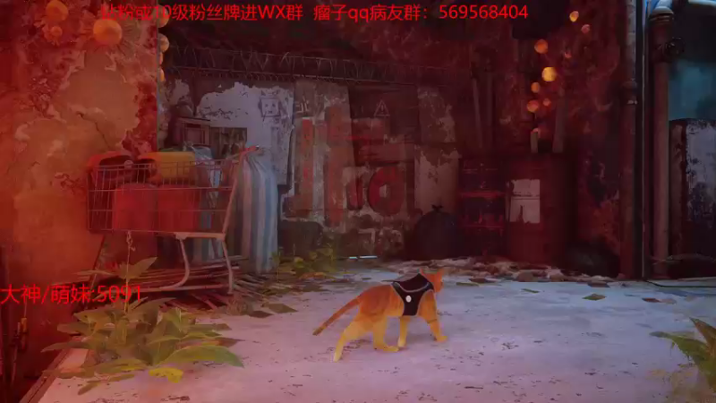【2022-07-27 22点场】彭皮皮丶：官方认证一分钟三把职业直播间⭐