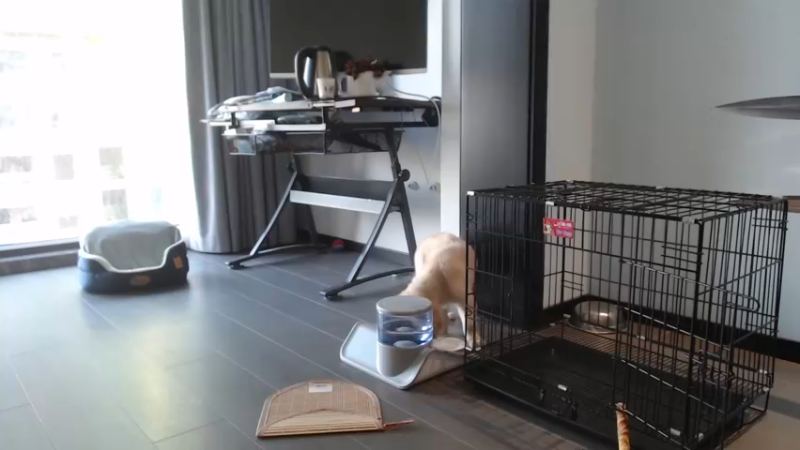 【2022-07-28 18点场】棒老三：一天4车清CD啦，前夕4周！