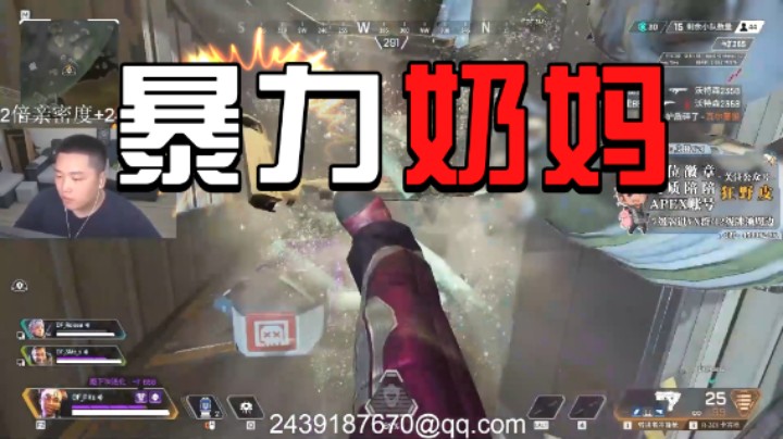 捍卫者杯上的暴力奶妈
