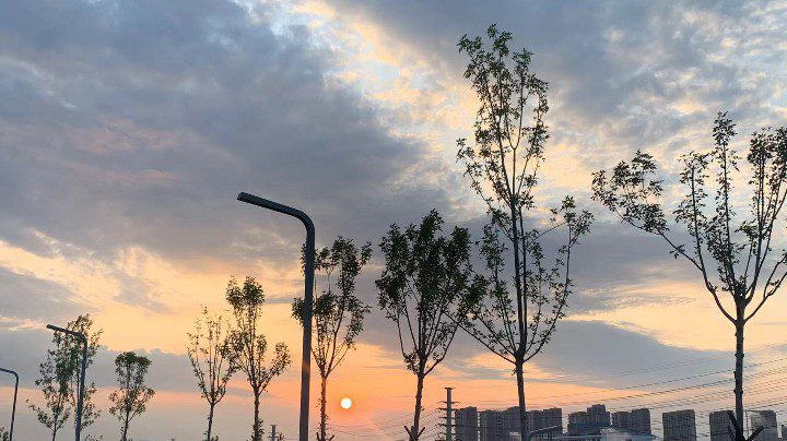 单翼天使不孤单