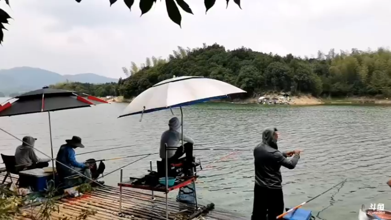 【2022-07-28 13点场】中华户外钓鱼：陆水湖钓红尾鲢鳙