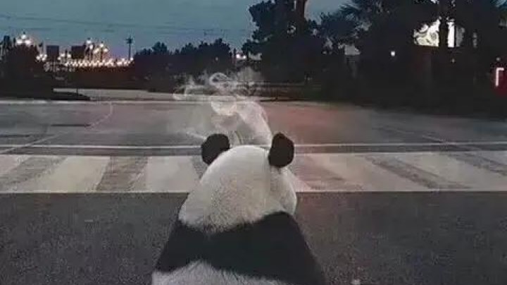 CSGO复健