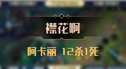 【襟花啊】阿卡丽 12杀1死