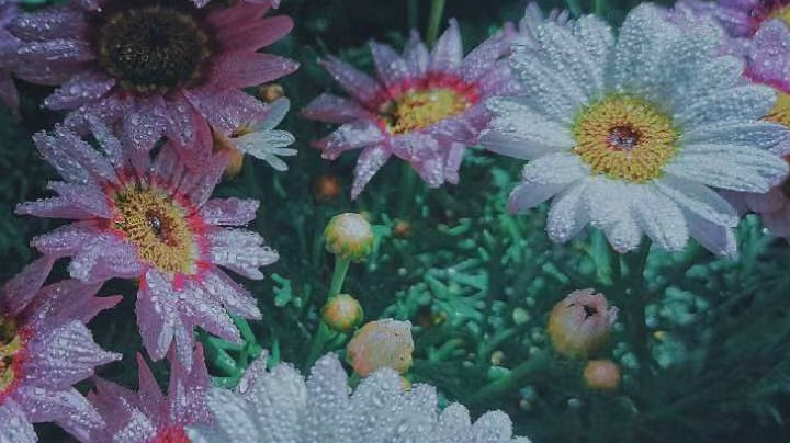 王者杯小组赛G组第三轮