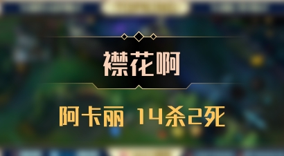 【襟花啊】阿卡丽 14杀2死