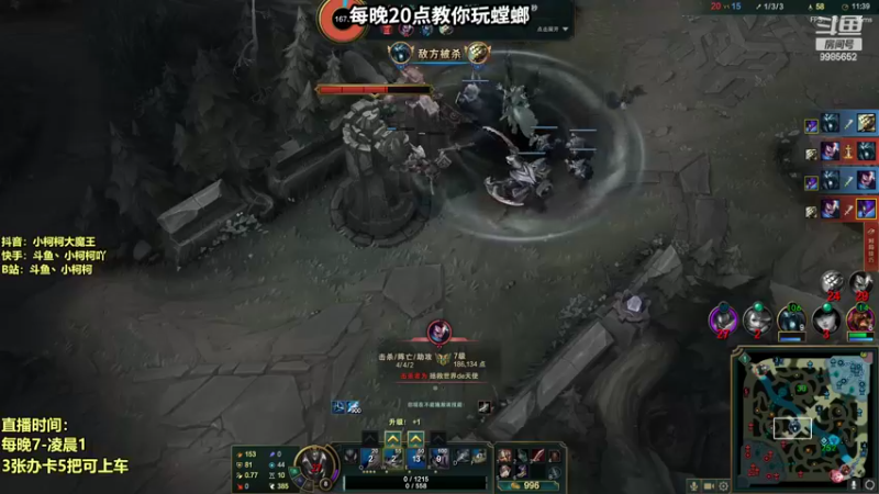 【2022-07-27 15点场】小柯柯大魔王：小柯柯：玩螳螂必备知识！