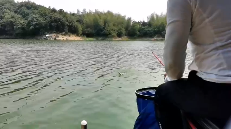 【2022-07-28 11点场】中华户外钓鱼：陆水湖钓红尾鲢鳙