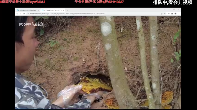 【2022-07-28 19点场】叶音符：叶音符:新版野区 我无敌了