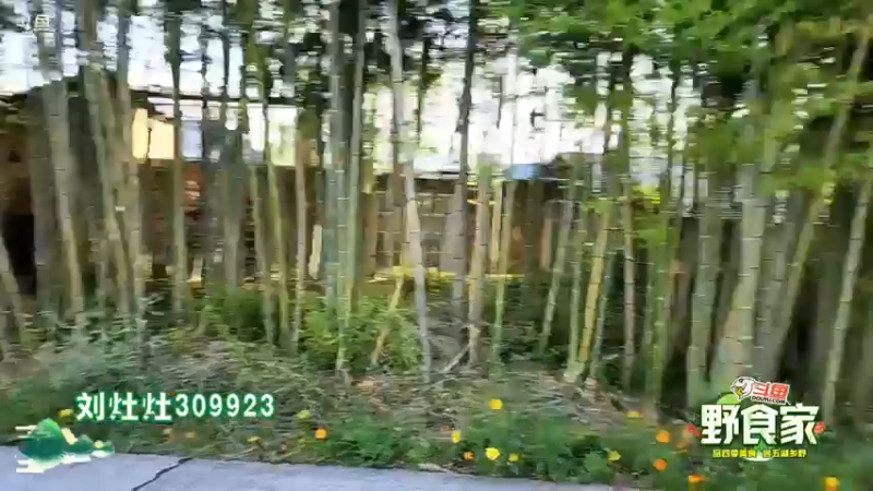 【2022-07-28 17点场】刘灶灶：周三晚恩施见