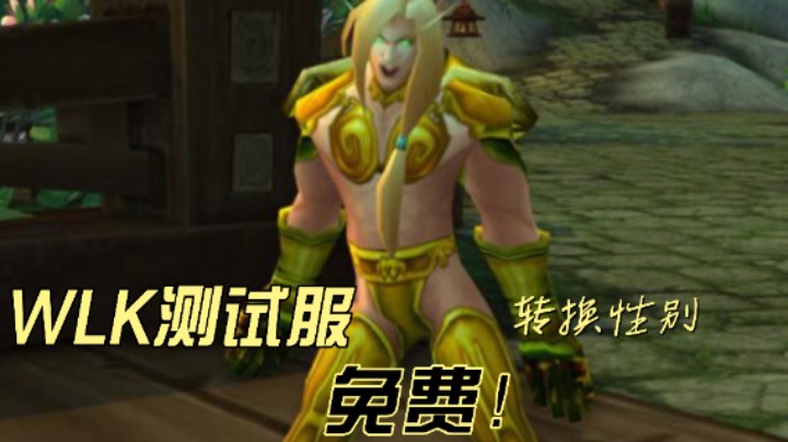 WLK测试服免费转换性别