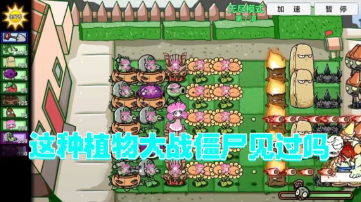 【瓜皮蛙蛙】：这种植物大战僵尸见过吗