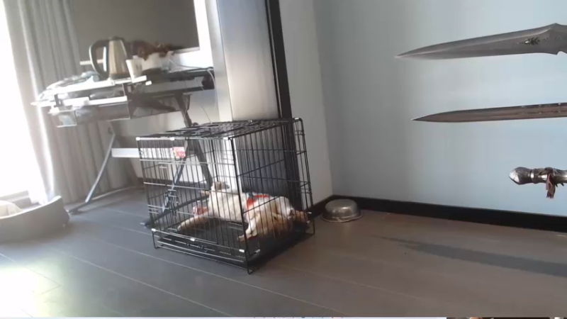 【2022-07-29 17点场】棒老三：两车SW，欢迎WLK投奔送包！