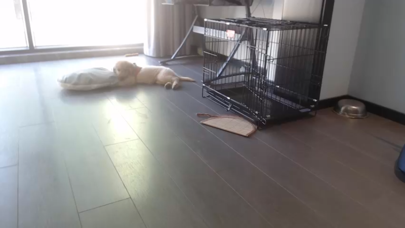 【2022-07-30 17点场】棒老三：打一车，测试服，WLK投奔送包！