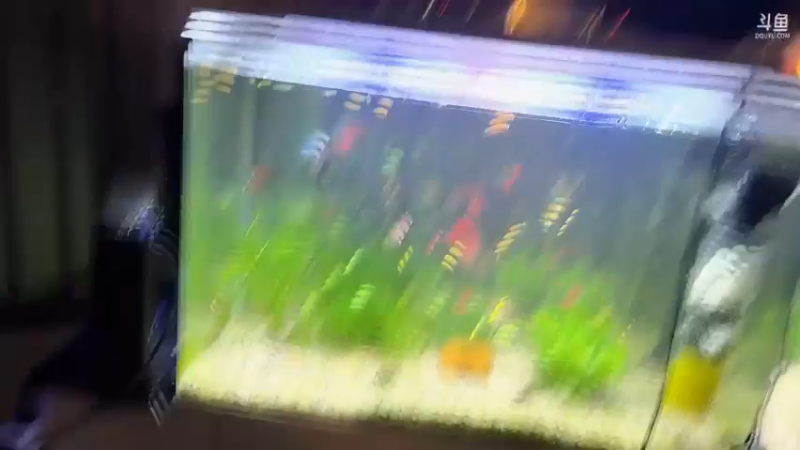 【2022-07-30 20点场】：健身练起来啊