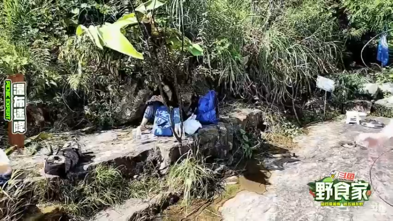 【2022-07-29 16点场】叶子户外：野食家Day2瀑布野炊～ 12580