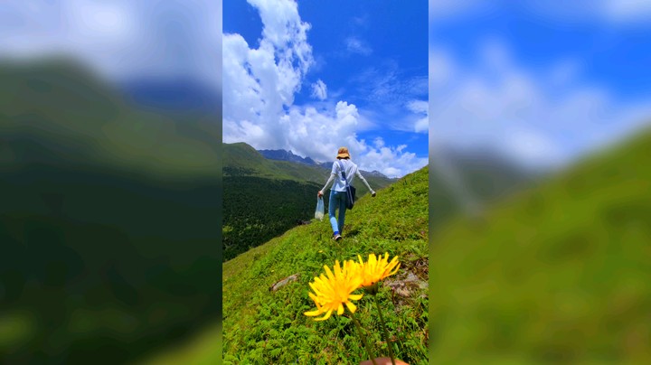 去山上摘点野菊花，风景美吧。