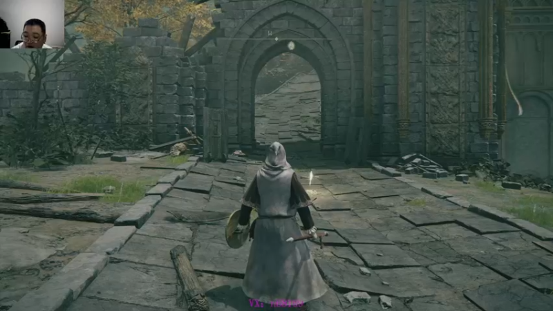 艾尔登法环  2022-07-31 10-01-05