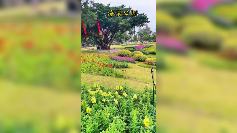 旅游城市珠海  游览景点2