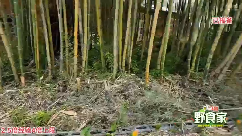 【2022-07-31 14点场】刘灶灶：起床了兄弟们 309923