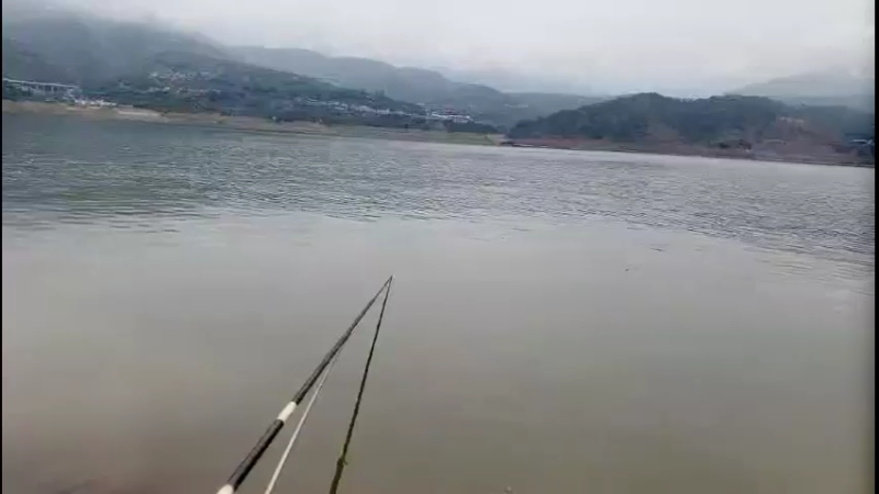 【2022-08-01 12点场】黑哥户外：农村平淡生活