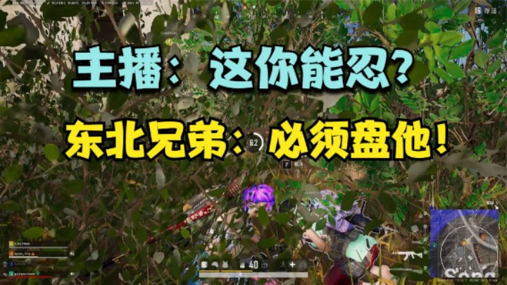 ：匹配到东北路人队友，与主播形成鲜明对比，观众笑坏了