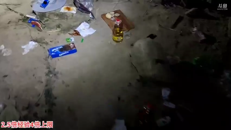 【2022-07-31 01点场】叶子户外：野食家DAY3山洞露营