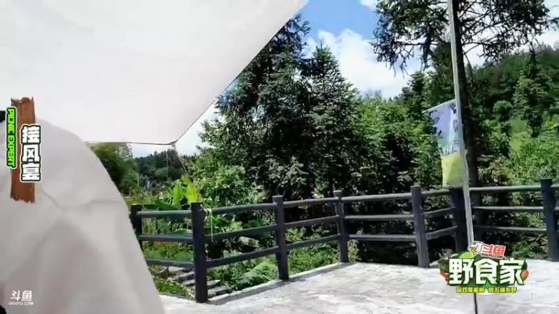 【2022-07-28 13点场】叶子户外：野食家Day1进山开饭！ 12580