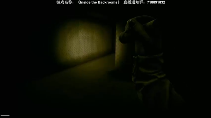 【2022-07-31 22点场】半支烟：【半支烟】《后室》联机试胆！