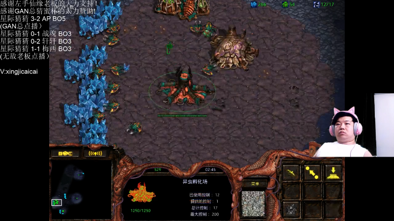 【星际争霸】星际猜猜的精彩时刻 20220801 00点场