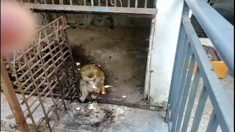 【2022-08-01 15点场】刘灶灶：火土在恩施 309923