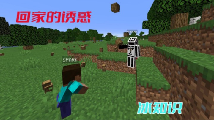 我的世界快速回家？一招让你学废